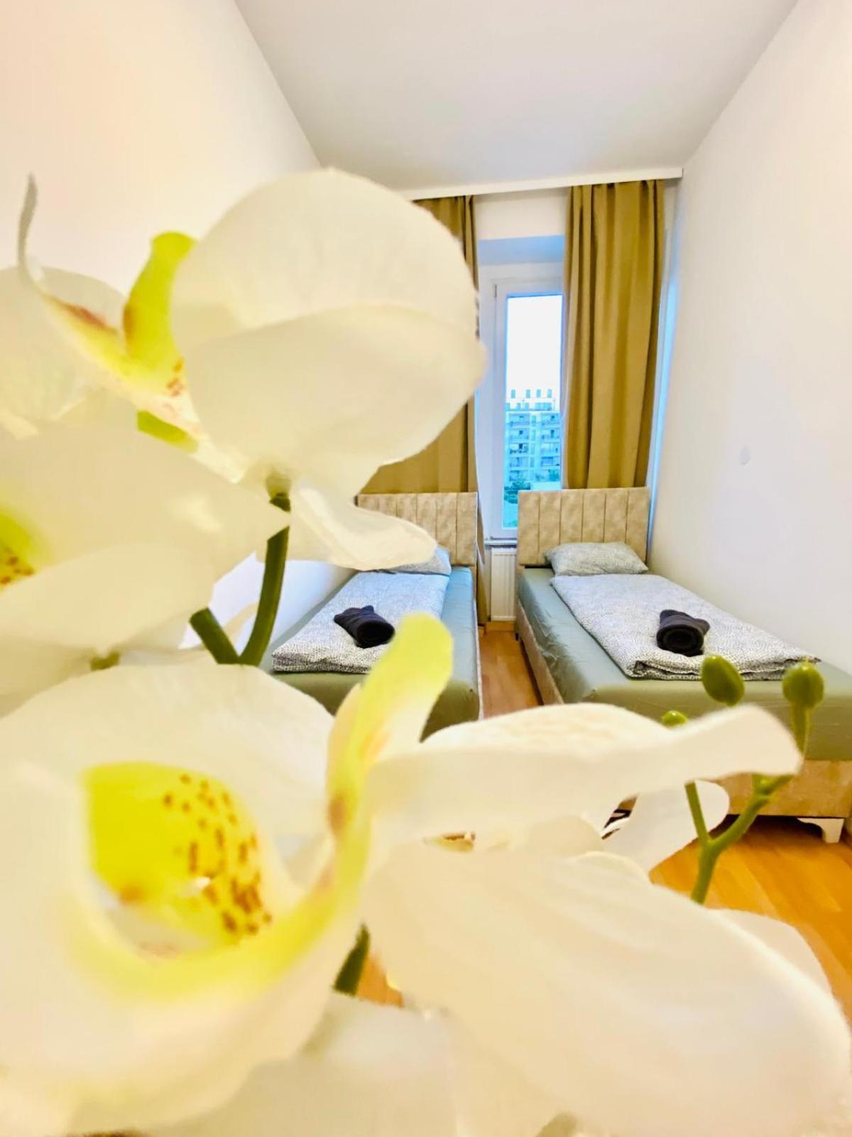 Bright 5Br Shared Apartment W Great Transport Link Виена Екстериор снимка